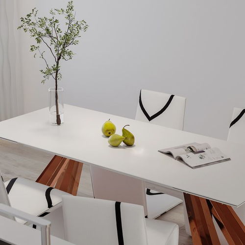极简主义的白色内饰与独特的家具设计